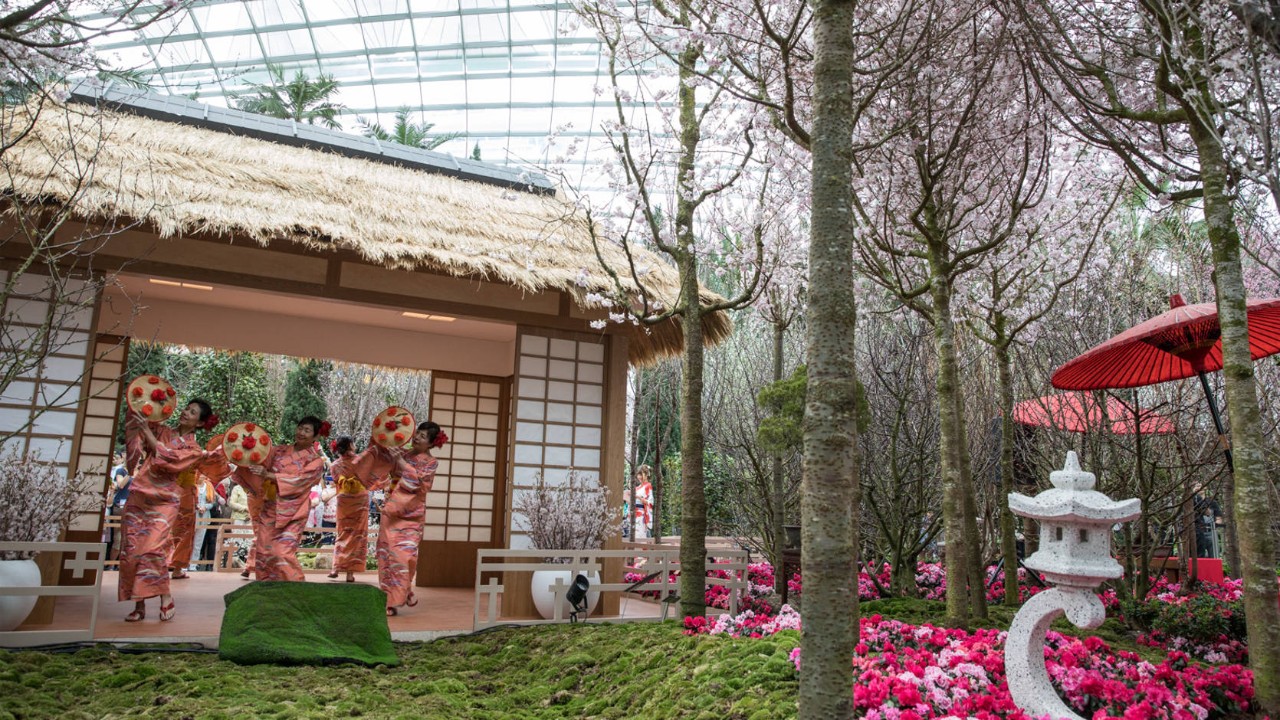 The Japanese Association Singapore's Minyo Club performing a Japanese folk dance during a special preview of Sakura Matsuri.  