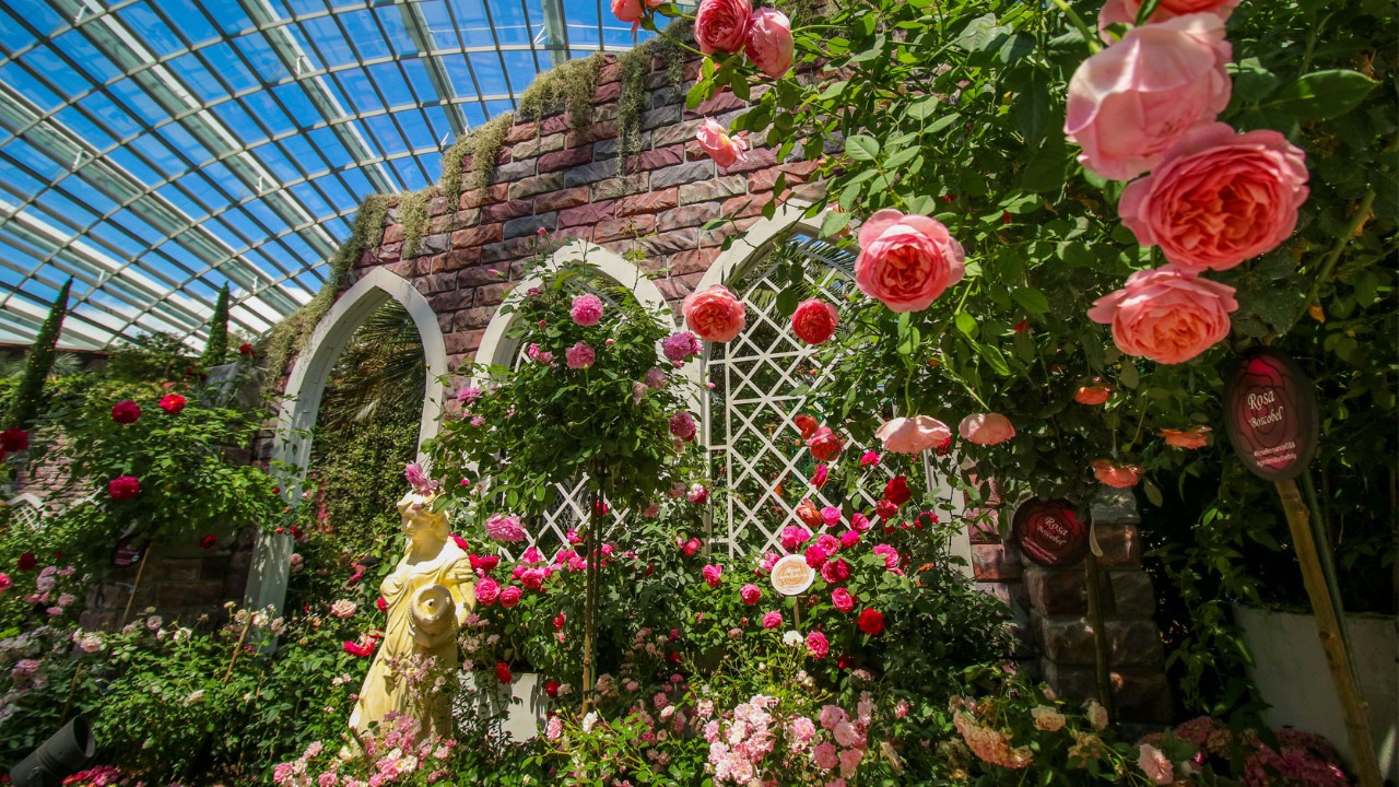 Rose Romance at Gardens by The Bay