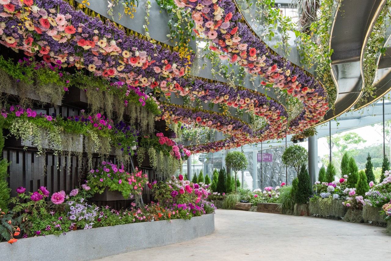 Follow the yellow brick road to Gardens by the Bay's first "Sunflower Surprise" floral display, which features over 10,000 sunflowers alongside scenes and characters from "The Wonderful Wizard of Oz”.