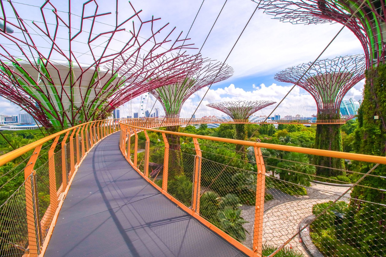 OCBC Skyway at Supertree Grove