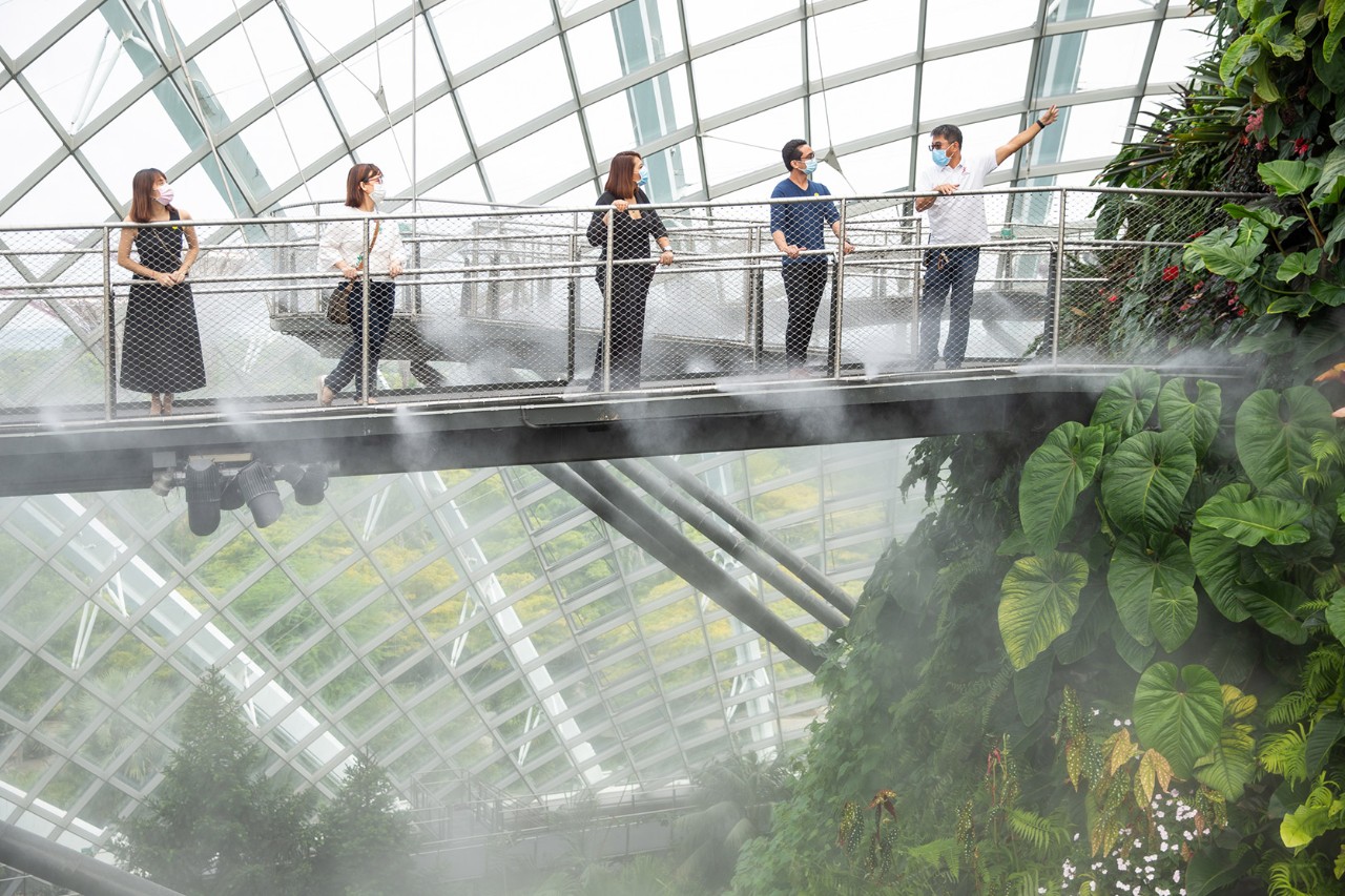 Nurses from NUH previewed Cloud Forest ahead of its reopening; all practising nurses enjoy free entry to the conservatories in August, and there will also be a special promotion for the public where the purchase of a two-conservatories ticket comes with up to six months of unlimited visits.