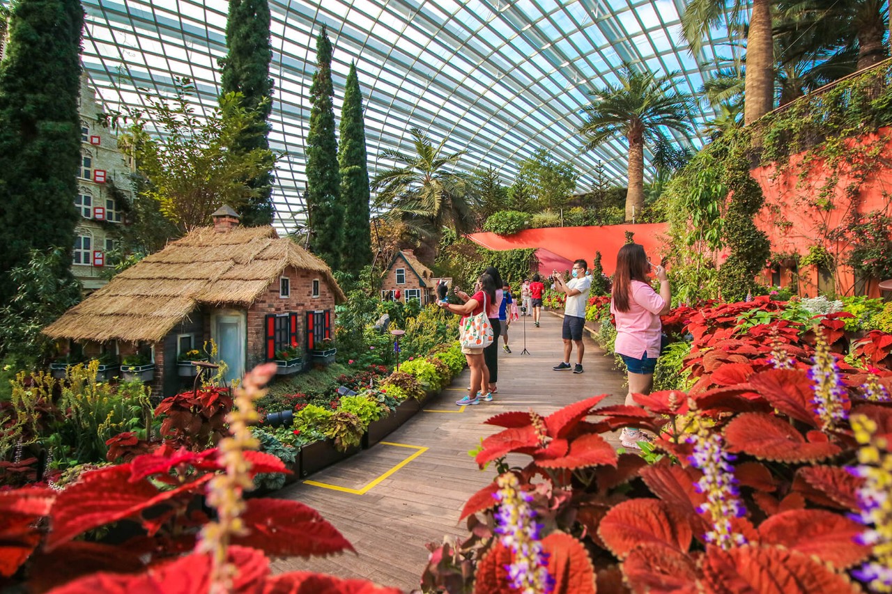 Gardens by the Bay’s Flower Dome