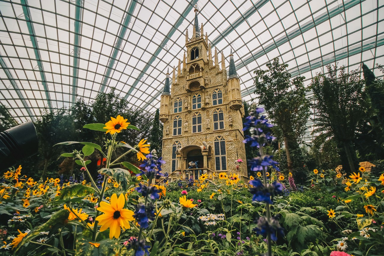 When Flower Dome opens in July, visitors can look forward to an idyllic European-themed display with many of the temperate flowers grown in-house by Gardens by the Bay’s horticulturists.