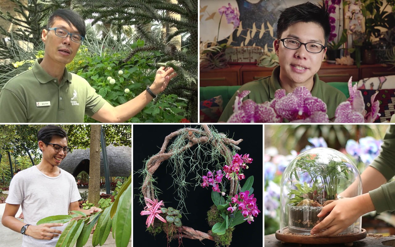 Gardens by the Bay’s horticulturists explore new ways to bring nature closer to people 