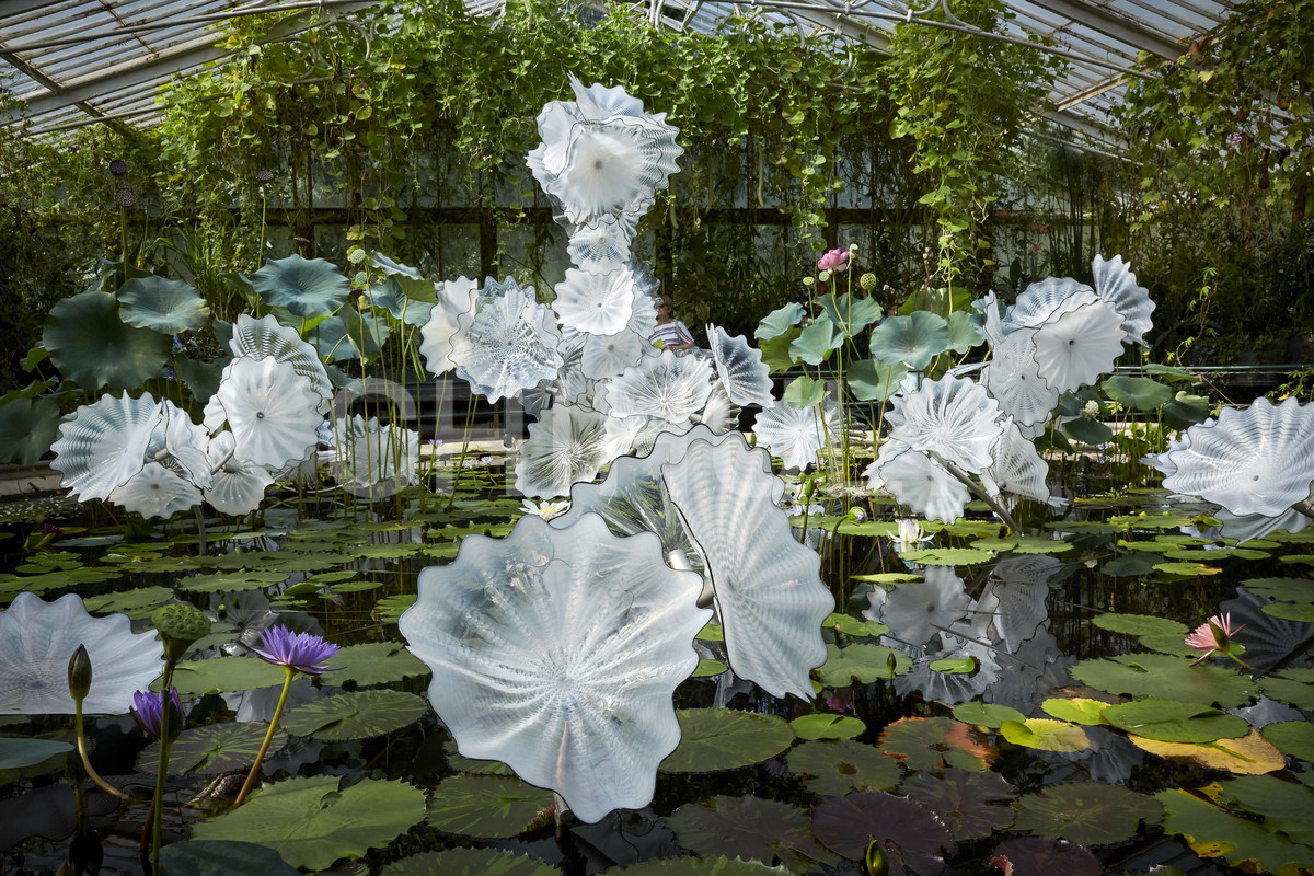 Dale Chihuly, Ethereal White Persian Pond (detail), 2018, 8 x 26 x 20' Royal Botanic Gardens, Kew, London, installed 2019, © Chihuly Studio. All Rights Reserved.