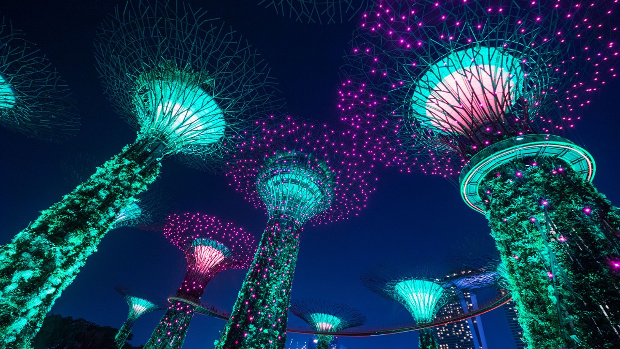 Lights on the Supertrees