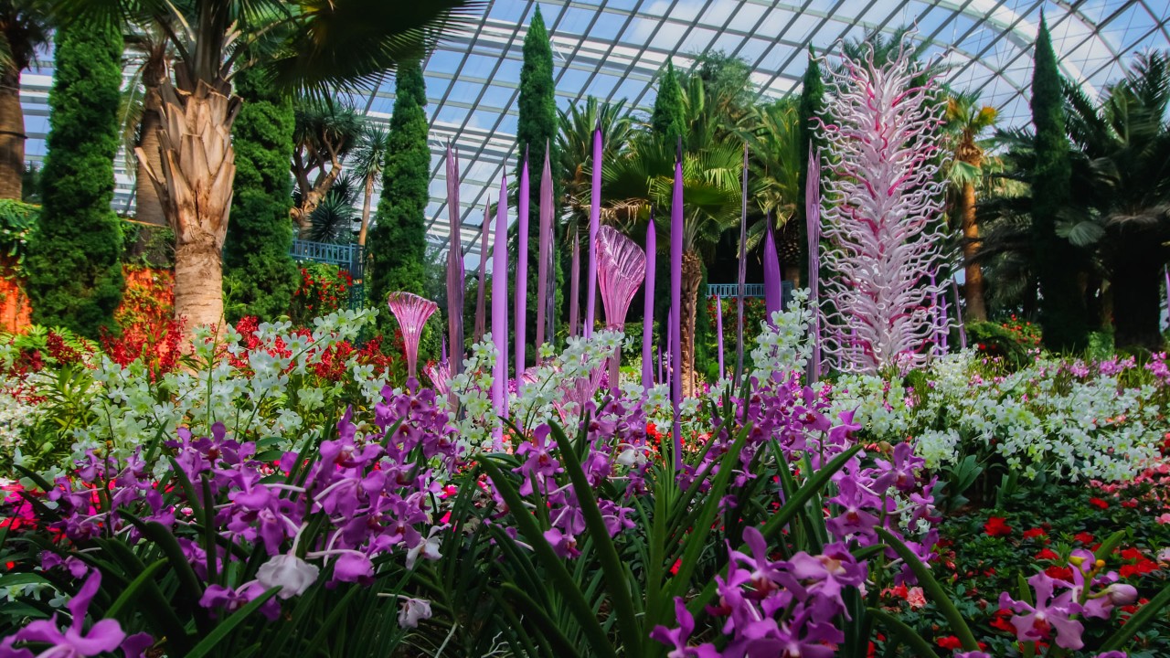 Brightly-hued orchids complement the Dale Chihuly: Glass in Bloom sculptures in Flower Dome, one of the places at Gardens by the Bay that nurses will be able to visit for free in August.