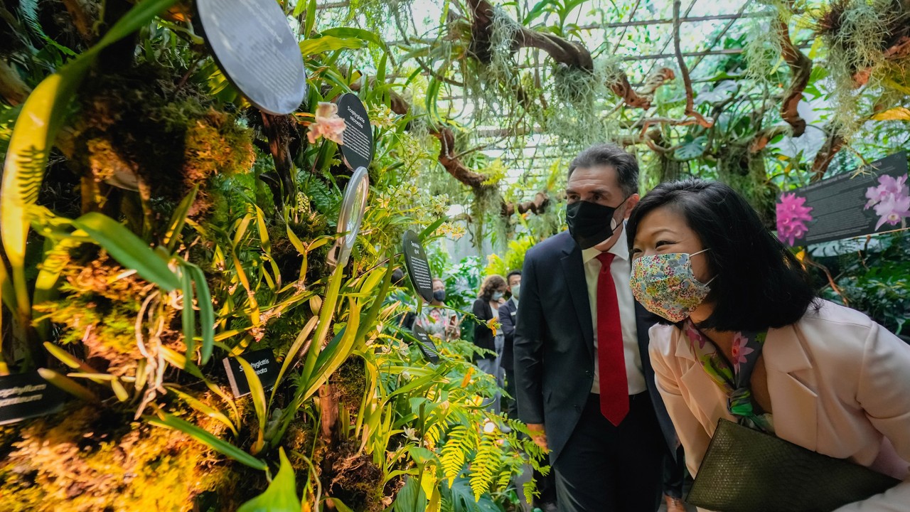 From left: Ambassador of the Republic of Costa Rica to Singapore His Excellency Victor Hugo Rojas Gonzalez and Senior Minister of State, Ministry of Foreign Affairs & Ministry of National Development Sim Ann taking a closer look at the orchids in the Orchids of Costa Rica – Resilient Beauty display