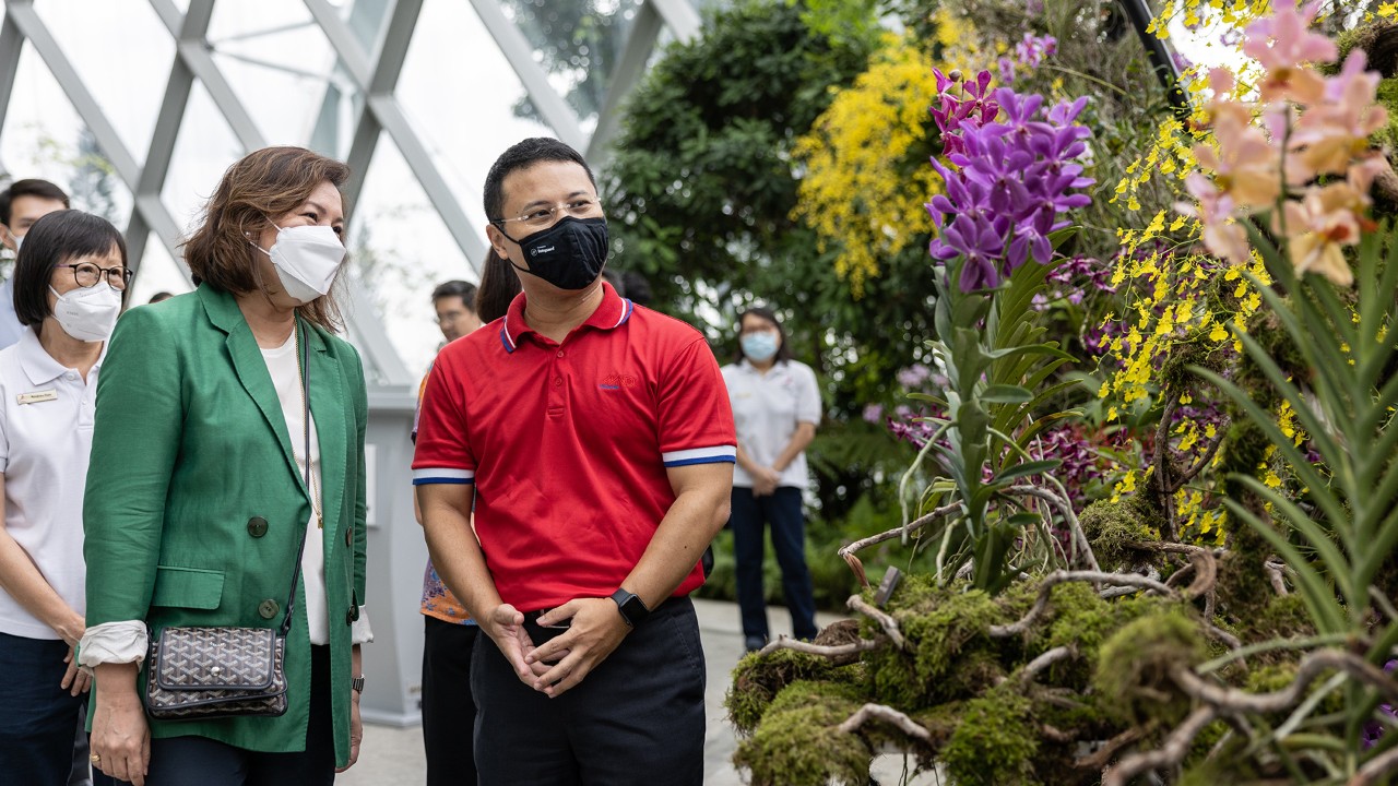 At the Orchid Stories of Singapore display, which puts the spotlight on local orchid hybrids, Minister for National Development Desmond Lee and Noora Alsagoff look at Aranda Noorah Alsagoff a local orchid hybrid bred by Noora’s father, the prolific orchid breeder Syed Yusof Alsagoff. PHOTO CREDIT: Ministry of National Development