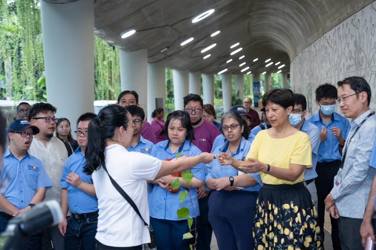 Along with beneficiaries from APSN, Minister in the Prime Minister’s Office and Second Minister for National Development Indranee Rajah participated in the inaugural edition of the Nature and Sustainability Tours for special needs individuals.