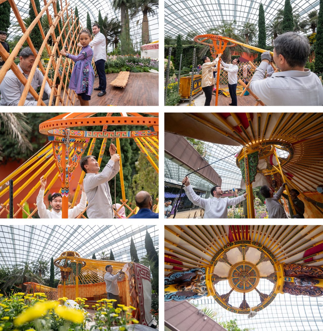 Honouring tradition where families set up their own gers, the Mongolian community in Singapore brought friends and family to set up the gers featured in the Chrysanthemum Charm floral display.