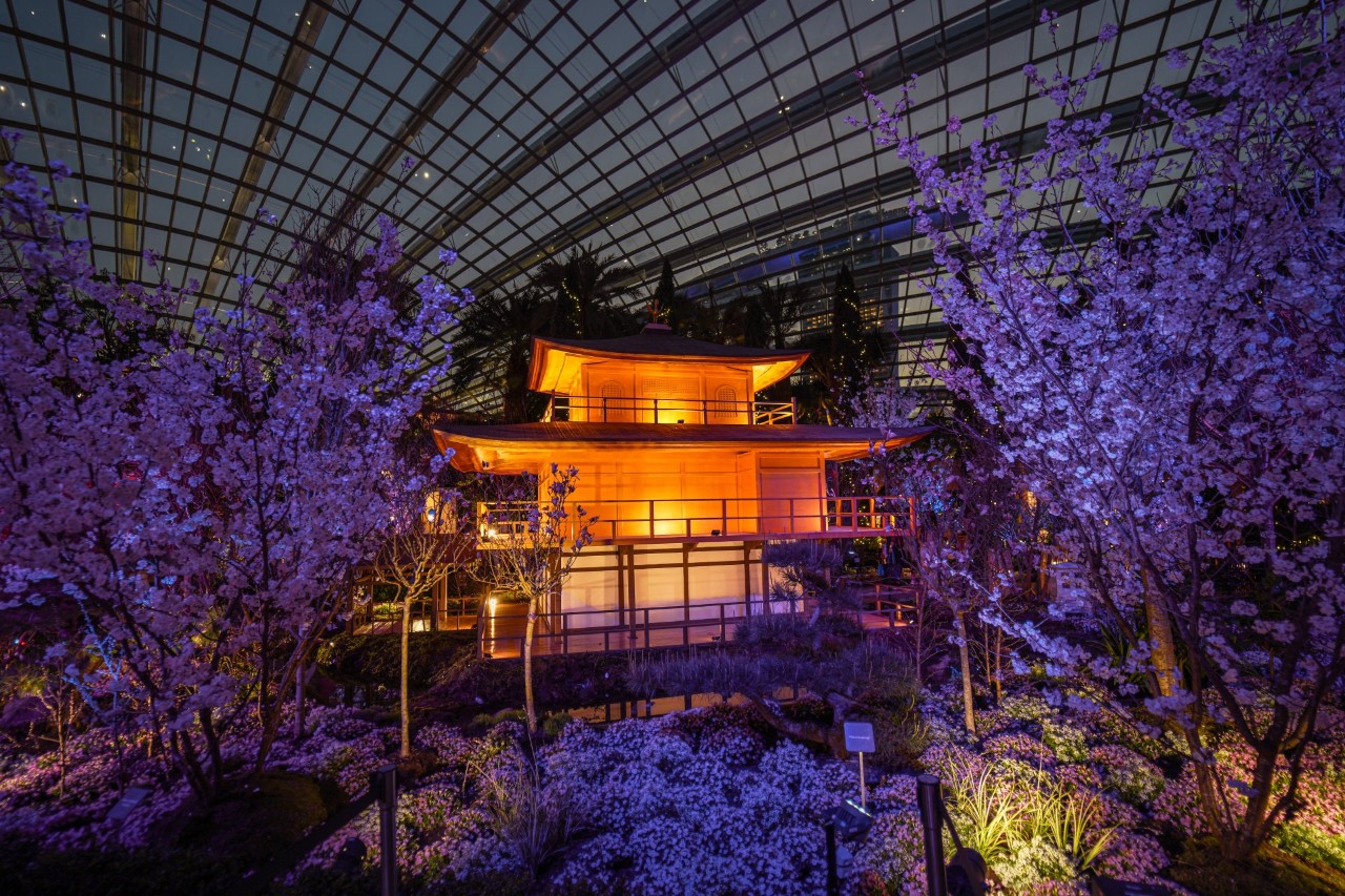 Kyoto's iconic Kinkakuji Temple takes centrestage at this year's Sakura floral display at Gardens by the Bay.