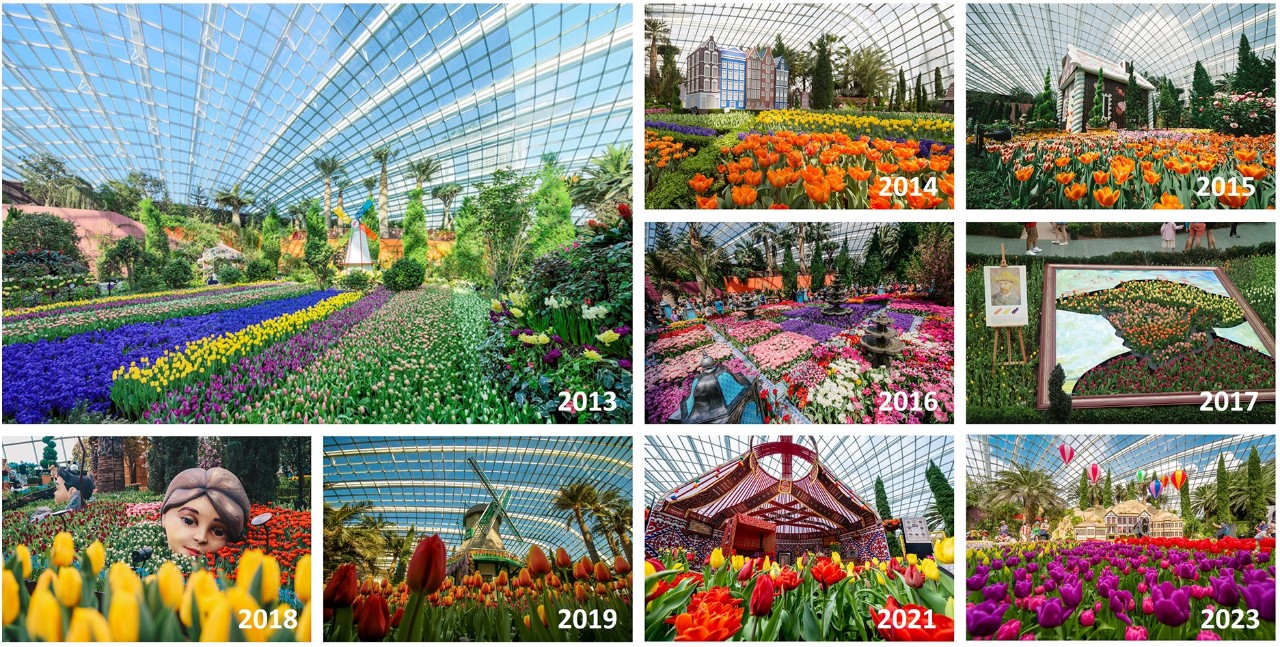 2013: Holland inspires the first Tulipmania. 2014: The second show is also Dutch-themed. 2015: The third show is about fairy tales, such as the Hansel and Gretel house. 2016: An exploration of Central Asia and the Ottoman Empire, where tulips originated. 2017: Art and tulips come together as Vincent van Gogh’s art is recreated. 2018: Friendly giants in a whimsical town take centrestage. 2019: A European fair complements Tulipmania for the first time. 2021: The spotlight turns to Kazakhstan in Central Asia. 2023: Türkiye, where tulips were valued throughout history, takes the stage.