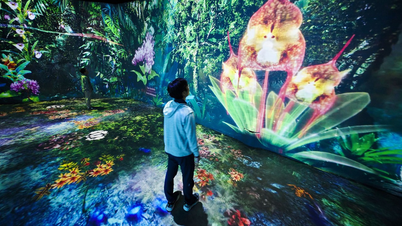 Rare flora and fauna come to life at new attraction in Gardens by the Bay's Cloud Forest