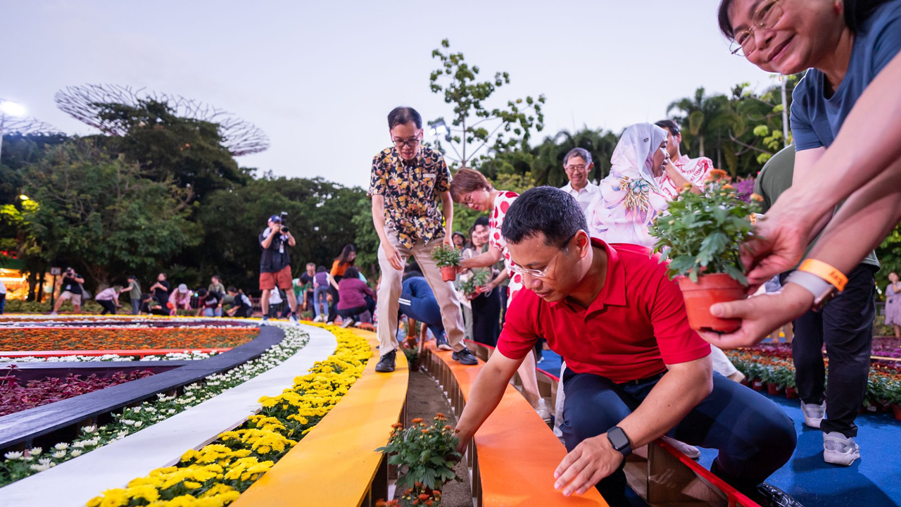 At Supertree Grove, Minister for National Development and Minister-in-Charge of Social Services Integration Mr Desmond Lee placed the final touches on Singapore’s largest Flower Carpet at Gardens by the Bay on 4 September 2024. He was joined by Gardens by the Bay CEO Mr Felix Loh (standing), Mayor of Central Singapore District Ms Denise Phua, and over 50 members of the community.
