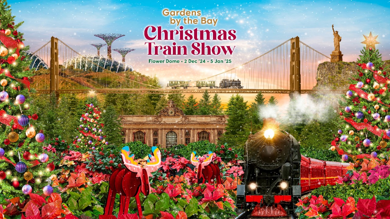 Christmas Train Show