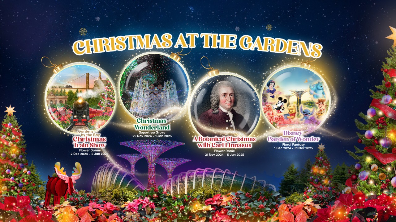 Christmas at the Gardens