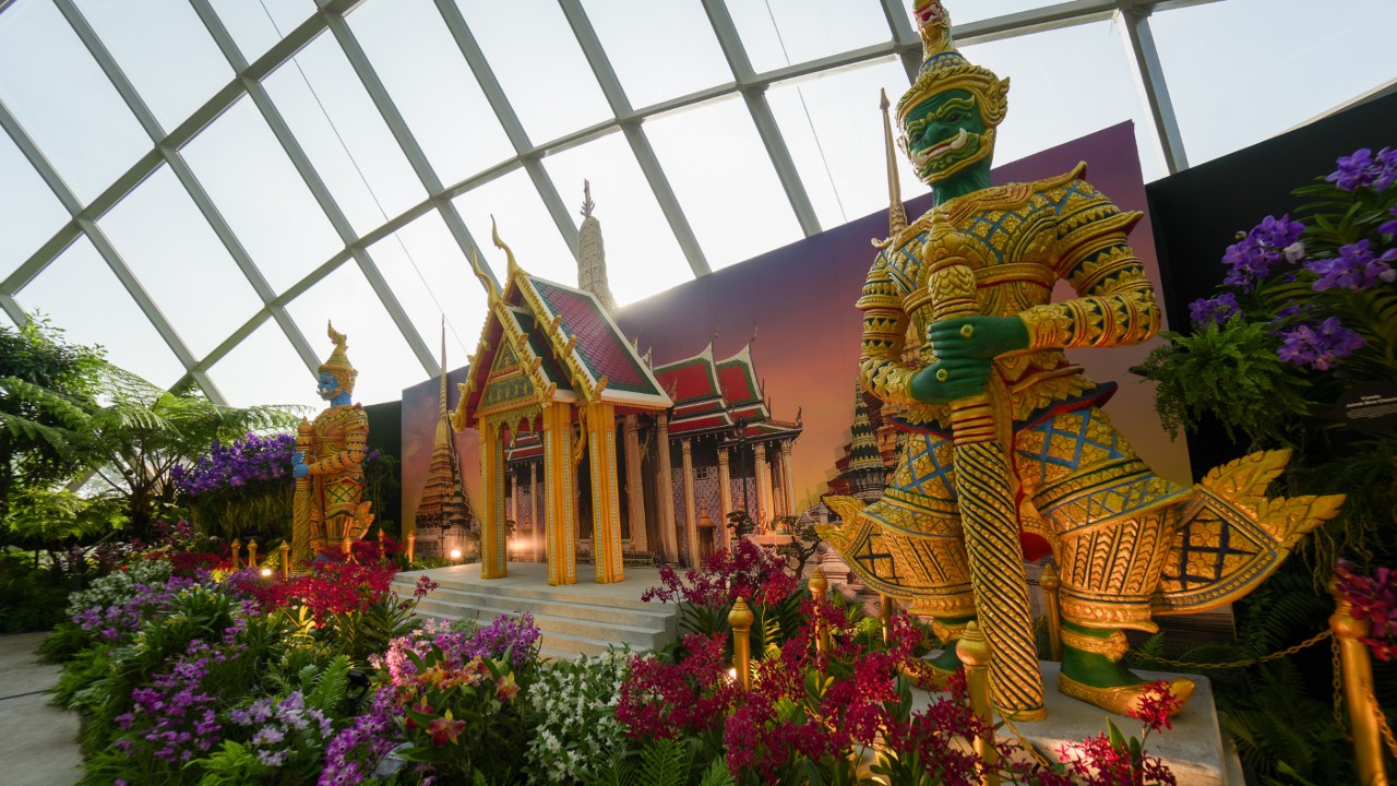 More than 60 taxa of orchids are on show in Orchids from the Land of Smiles, which takes place in the year of 60 years of diplomatic relations between Singapore and Thailand