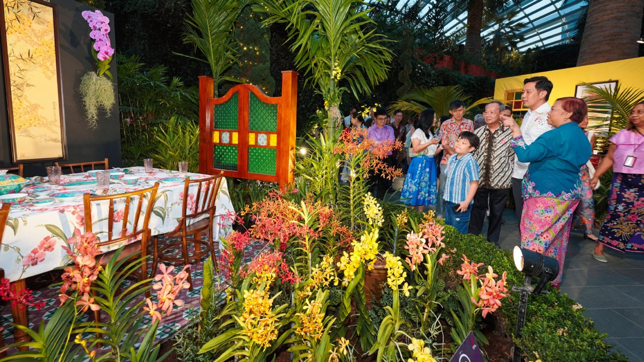 launch of orchid extravaganza
