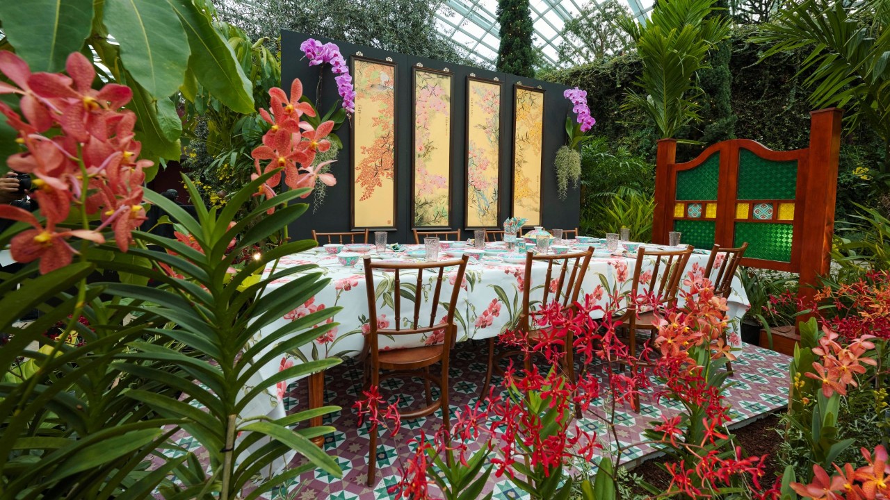 Orchids Extravaganza 2025