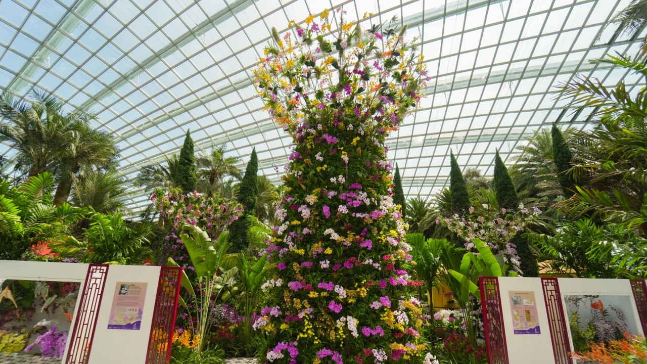 Orchid-clad Supertrees showcase local pride