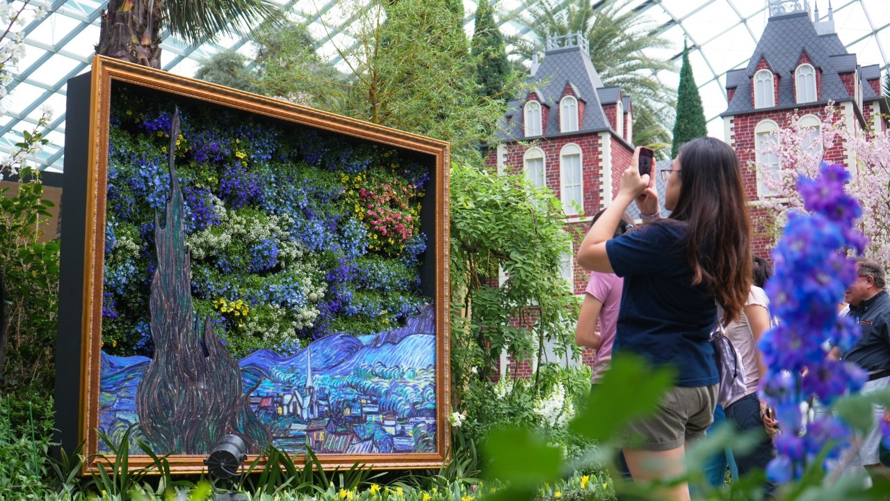Van Gogh's iconic The Starry Night is interpreted with flowers at Gardens by the Bay's Tulipmania.