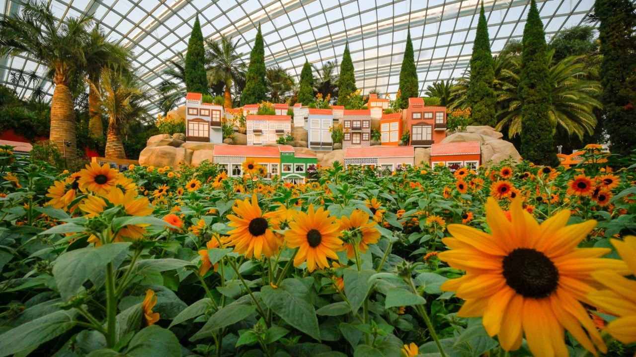 A 12m-long, multi-tiered recreation of Lisbon’s colourful Alfama hillside rises amid sunflowers in Sunflower Surprise: Garden by the Ocean. 