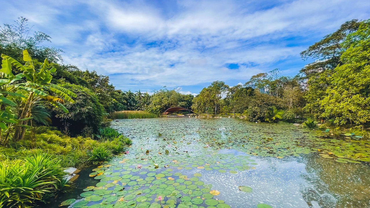 Kingfisher Wetlands