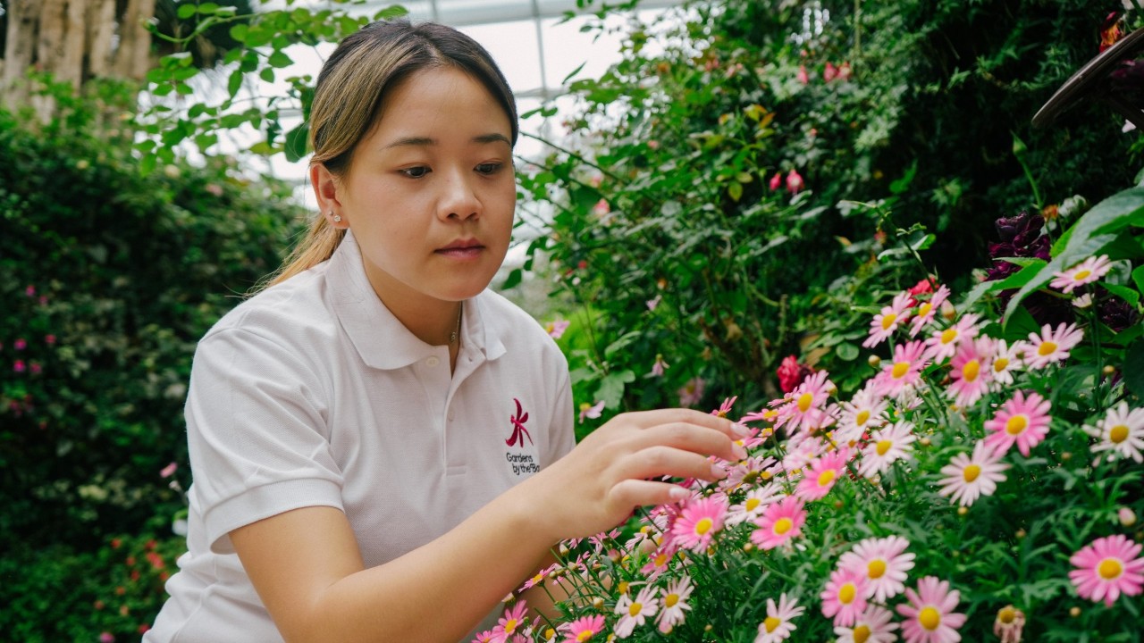 scholar - lee xiaoyi