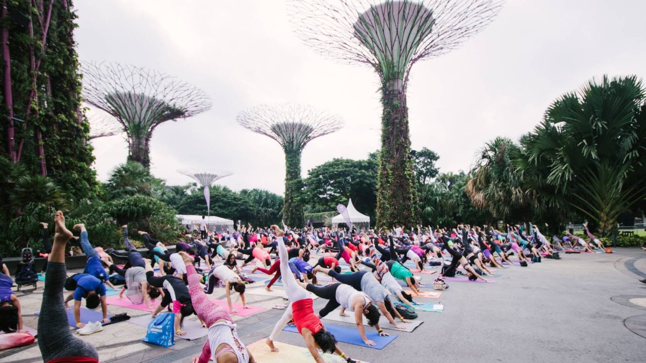 Yoga spots at the Gardens