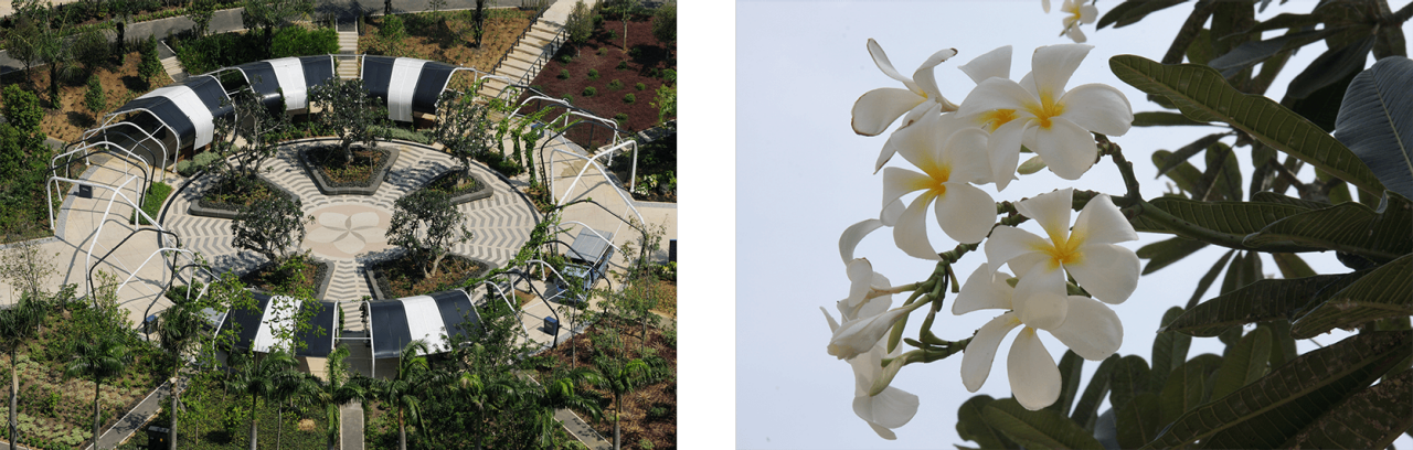 Aerial view of the Colonial Garden