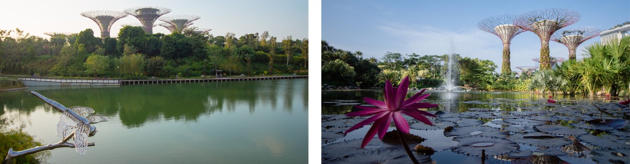 Dragonfly Lake (left) & Kingfisher Lake (right) 