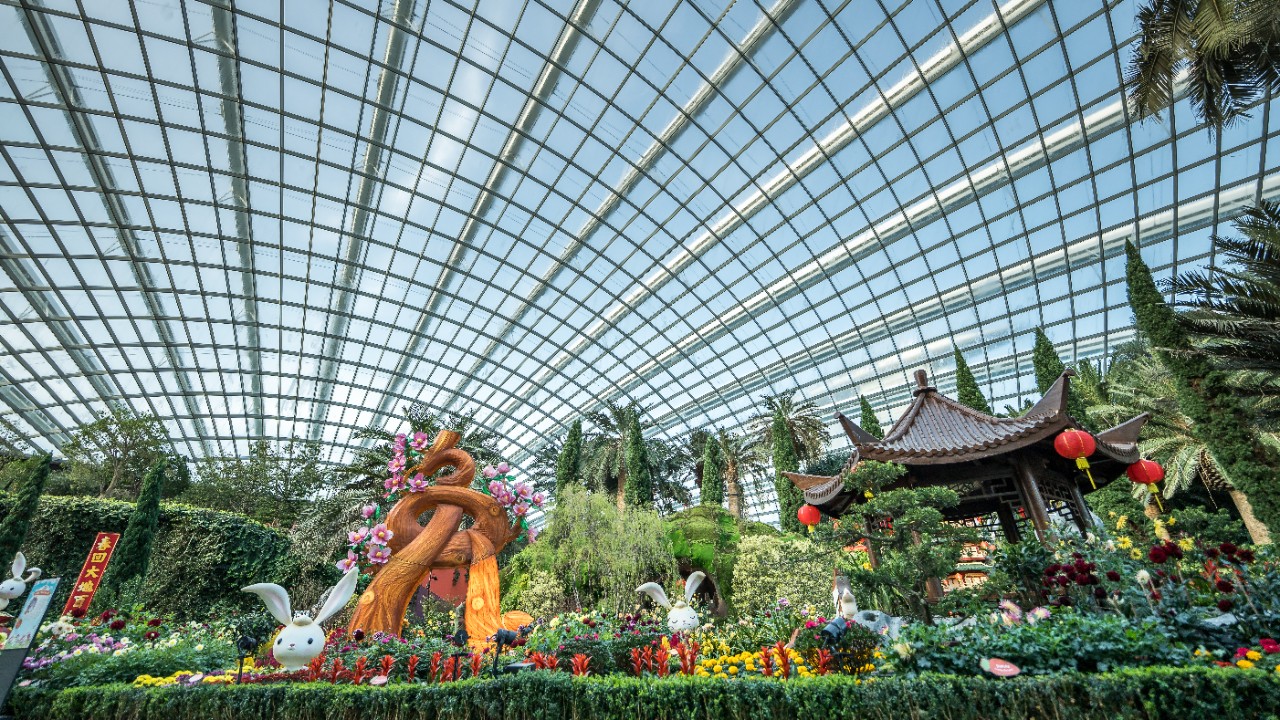 Dahlia Flower Dome Landscape 1