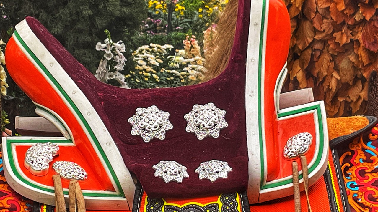 A symbol of tolerance and peace, the ber tseseg (S. comosa) was named as Mongolia’s national flower in 2014. The ber tsetseg motif can be found as silver saddle plates which hold the cushion of a Mongolian saddle to its frame.