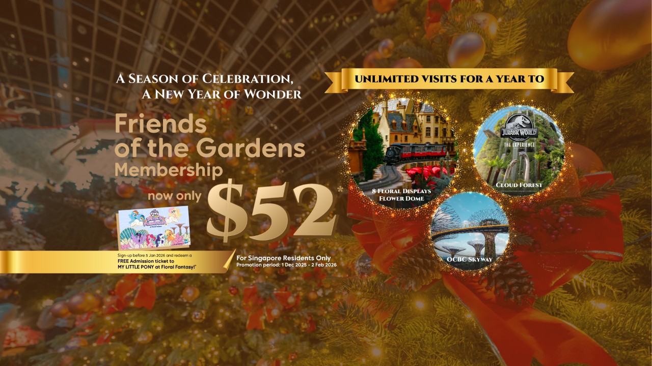 1-year unlimited admissions at $42, and more.