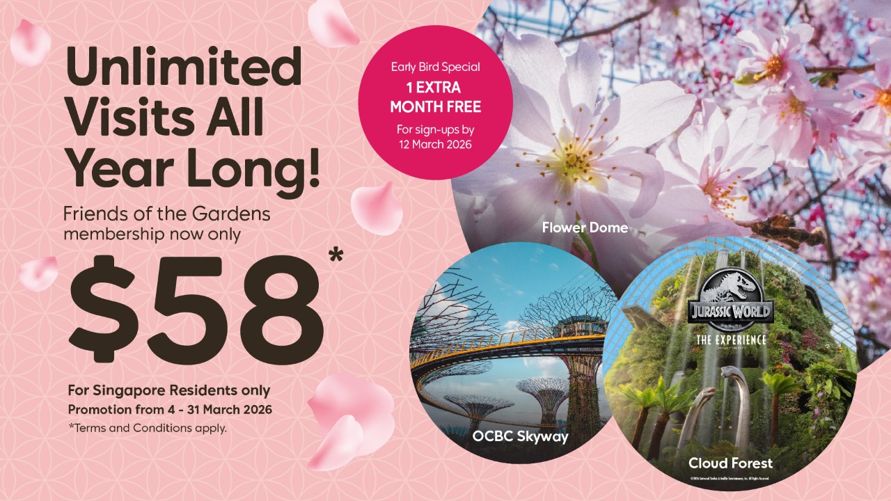 1-year unlimited admissions at $42, and more.