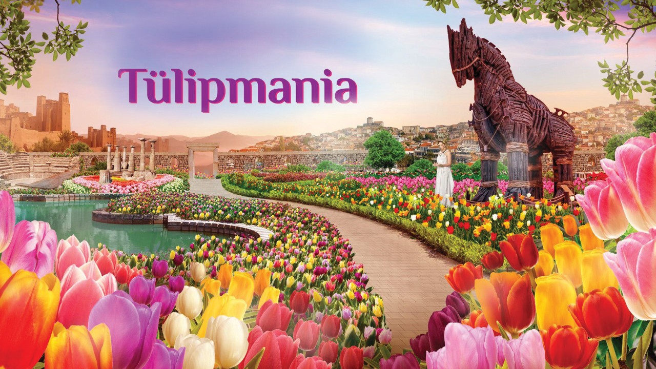 Tulipmania 2025