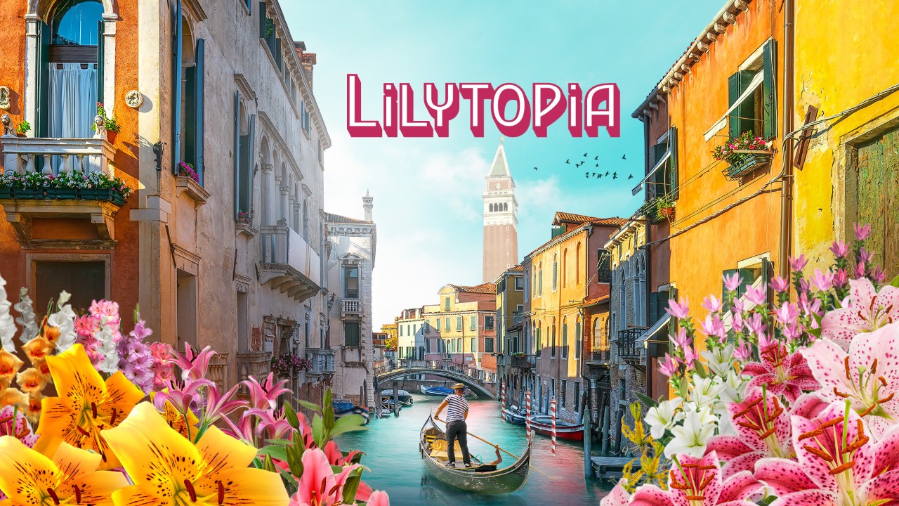 Lilytopia 2025