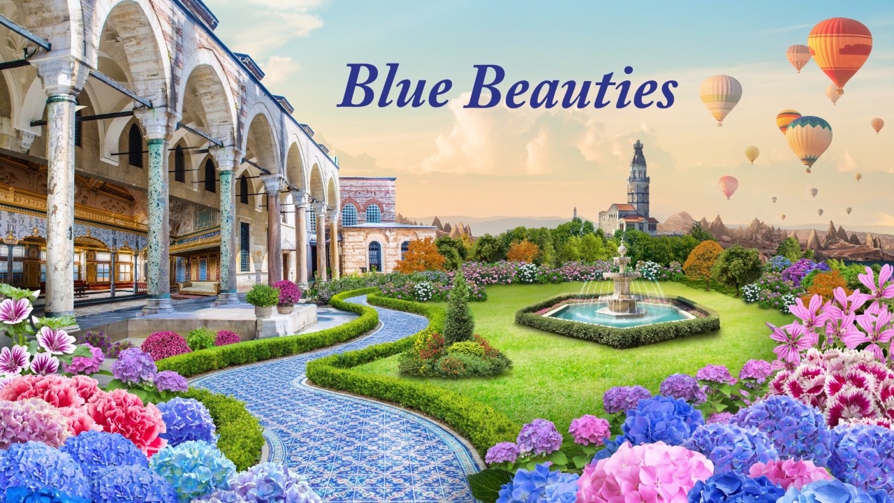 Blue Beauties