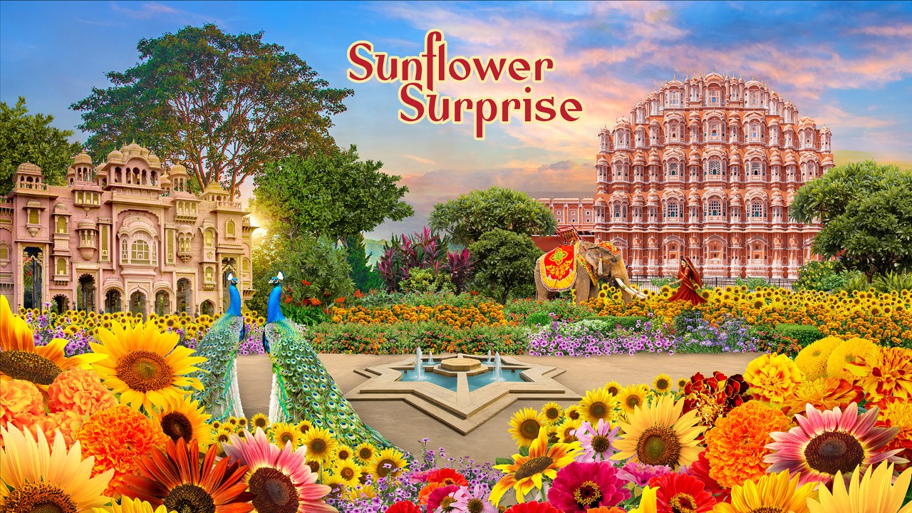 Sunflower Surprise 2025