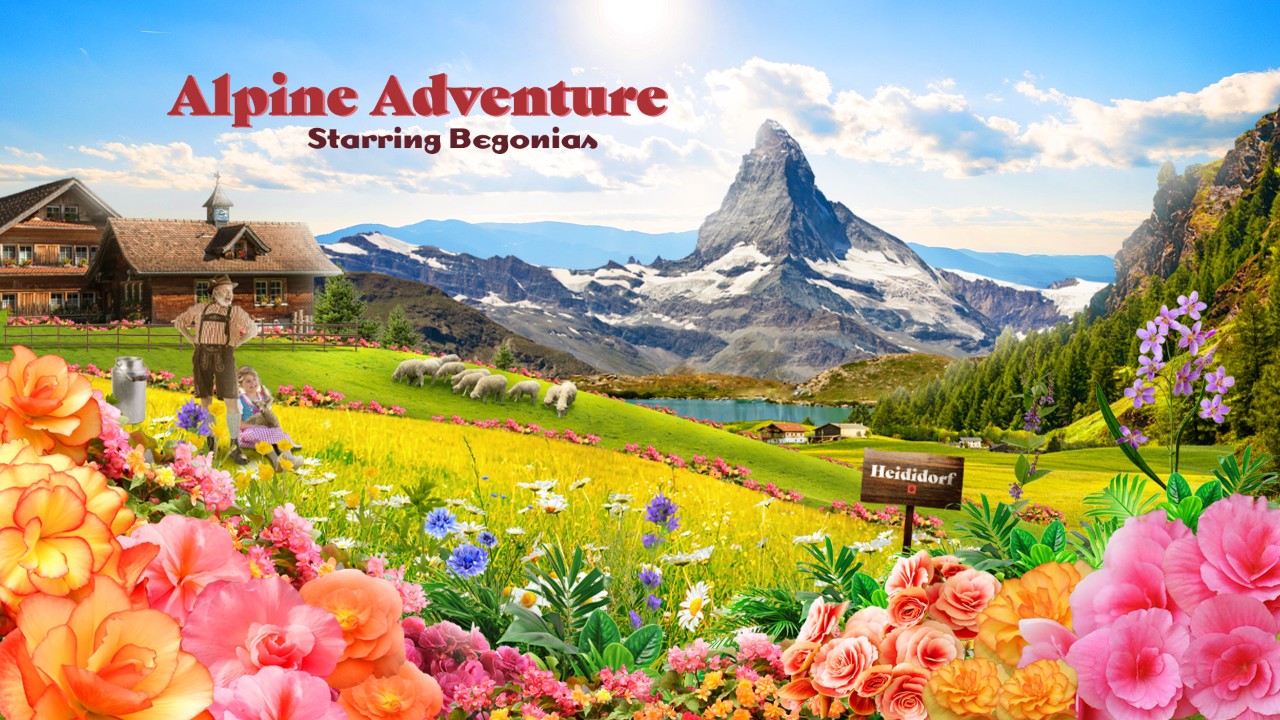 Alpine Adventure starring Begonias 2025