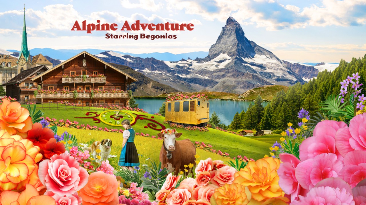 Alpine Adventure starring Begonias 2025