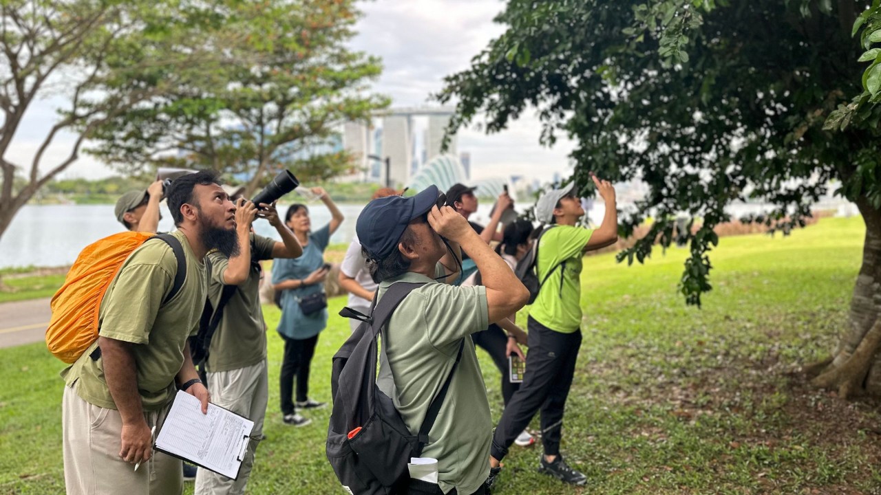 Gear up to discover and document the incredible wildlife thriving right here in Gardens by the Bay!