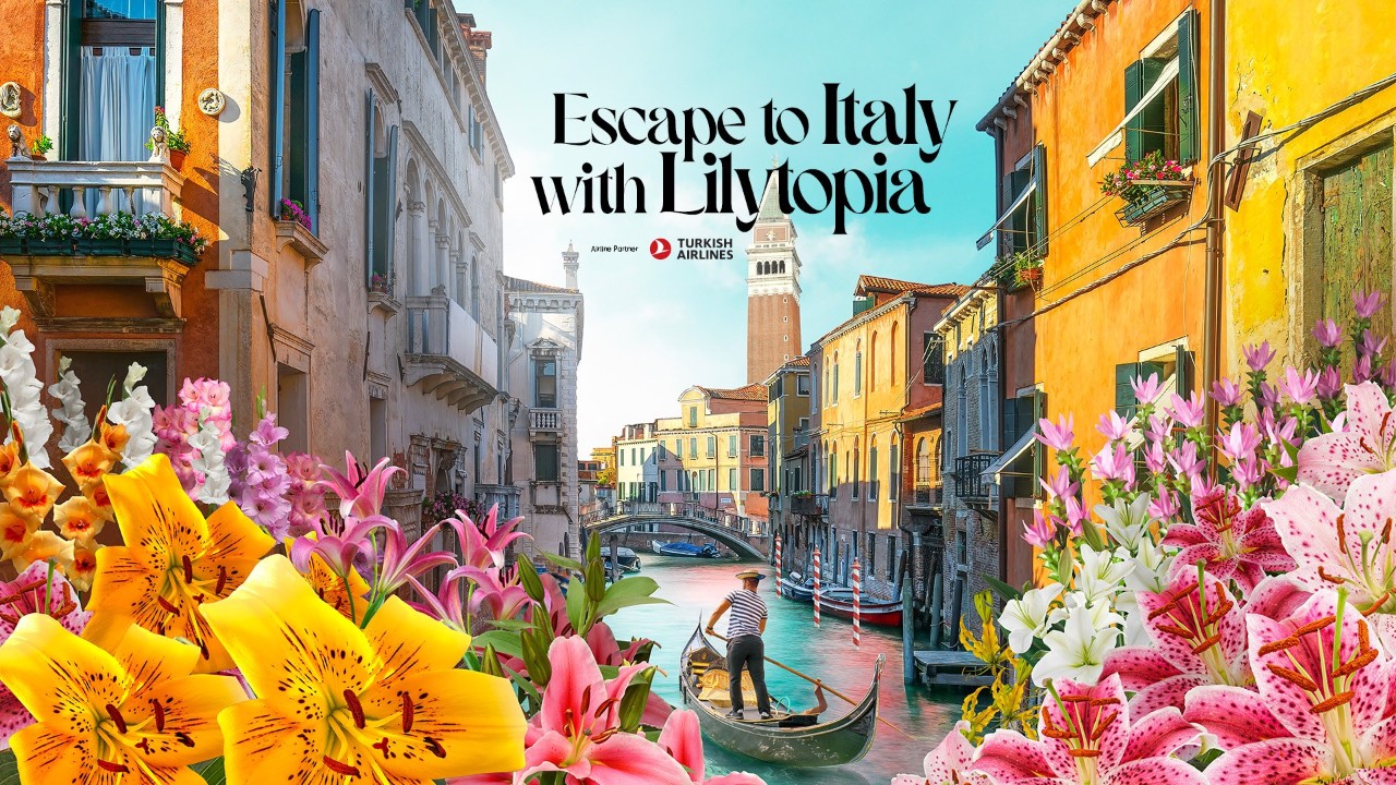Lilytopia contest