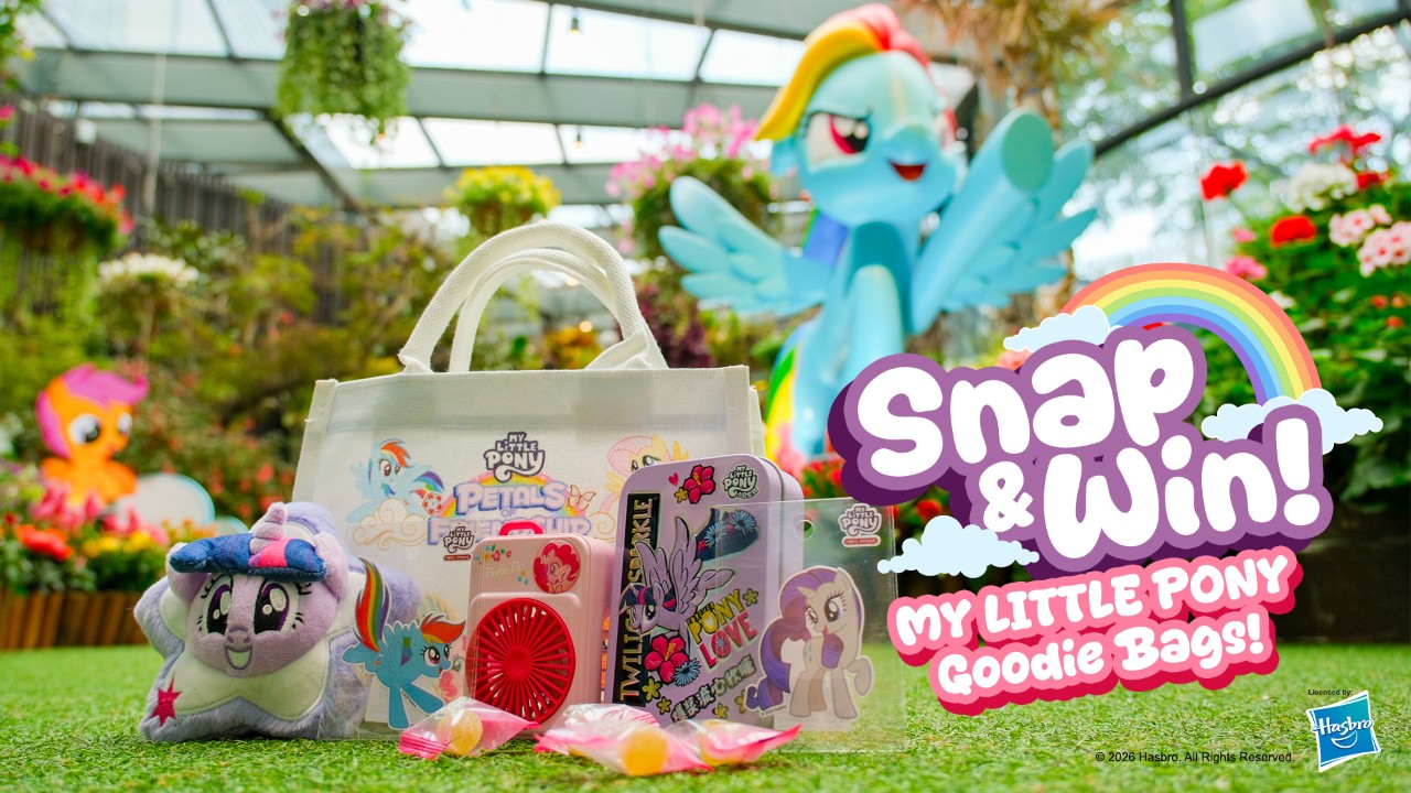 My Little Pony contest