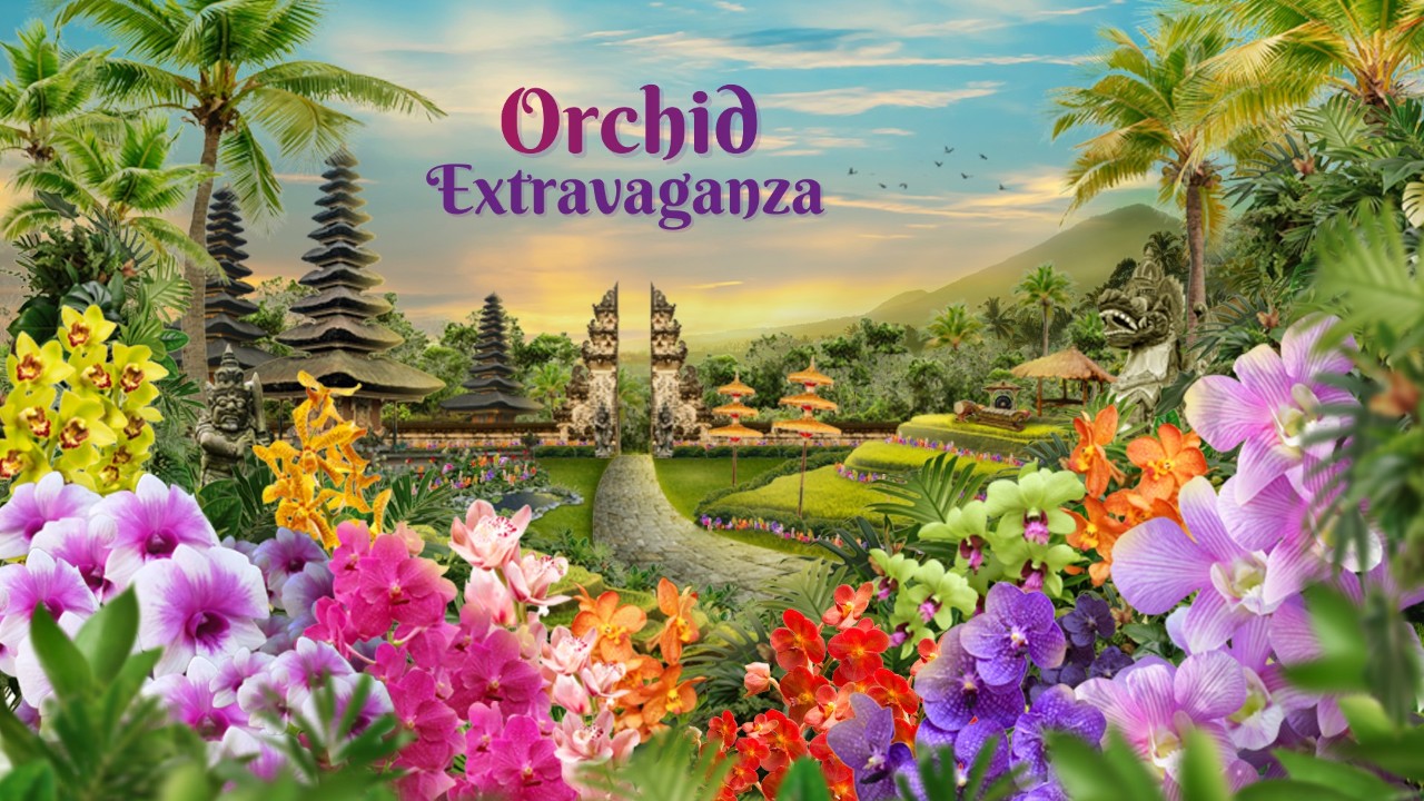 Orchid Extravaganza 2026