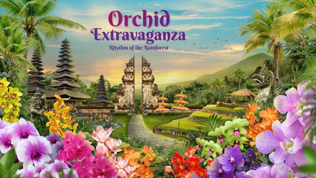 Orchid Extravaganza 2026