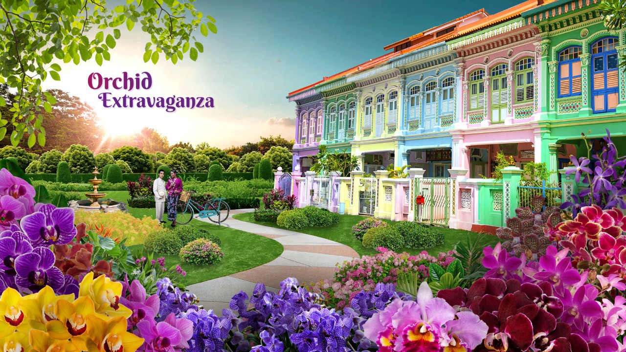 Orchids Extravaganza 2025
