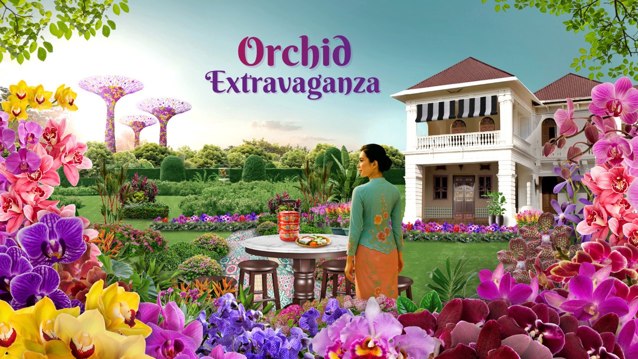 Orchids Extravaganza 2025