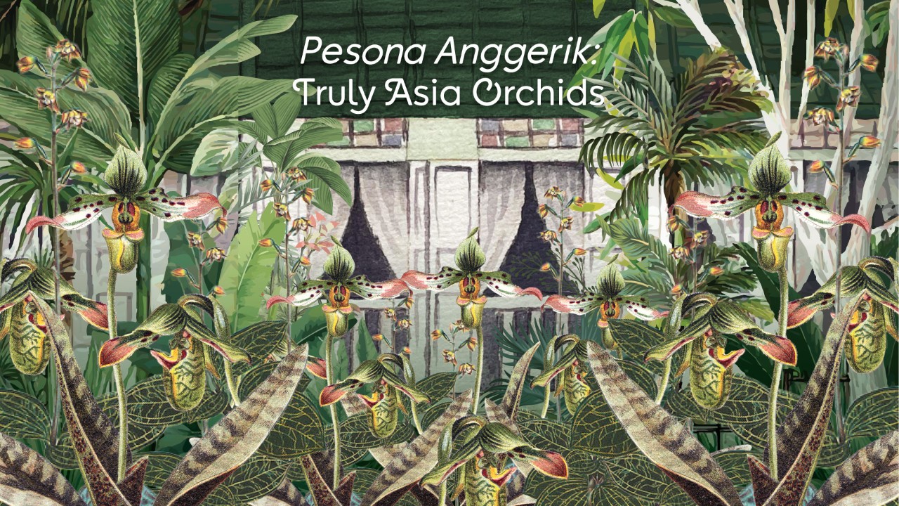 Pesona Anggerik: Truly Asia Orchids